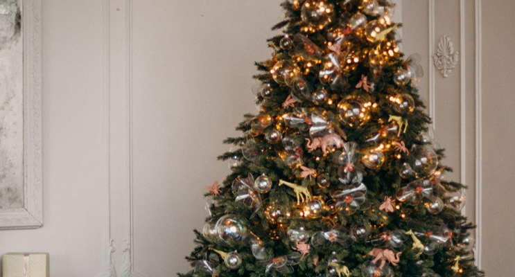The Ultimate Guide to Christmas Trees: Types, Decorating Tips, and History
