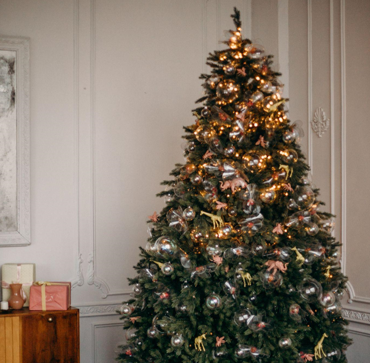 The Ultimate Guide to Christmas Trees: Types, Decorating Tips, and History