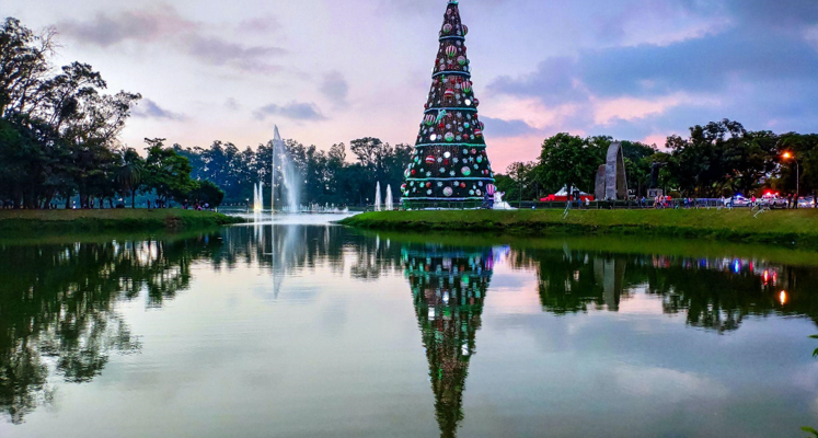 The Joy of Pre-Lit Christmas Trees and Wreaths