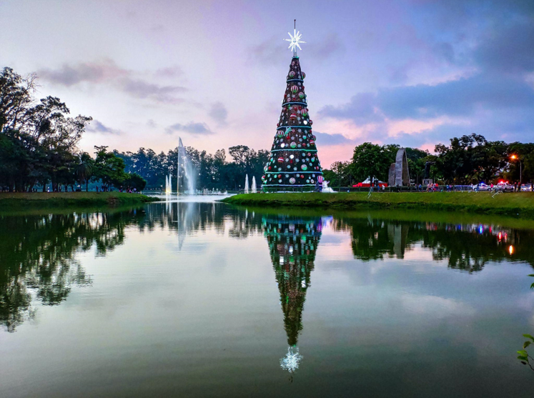 The Joy of Pre-Lit Christmas Trees and Wreaths